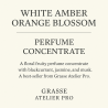 Ambre Blanc Fleur d’Oranger – Pure Floral Fruity Concentrate